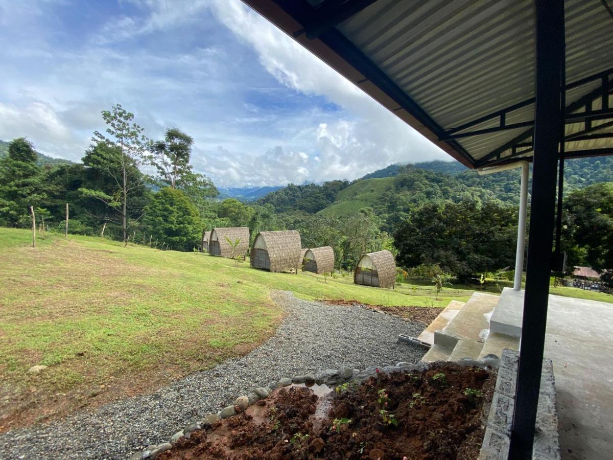 Esquipulas Rainforest Quepos Exteriör bild